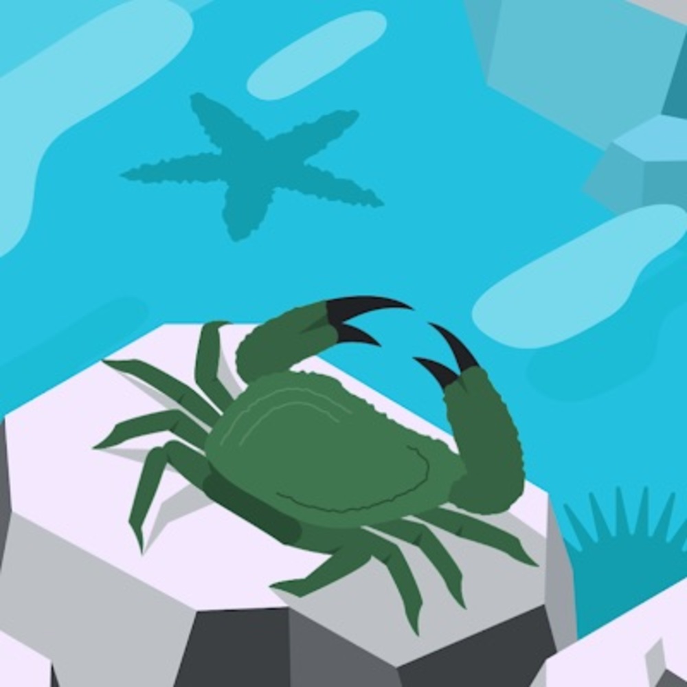 Meet your Posher, West